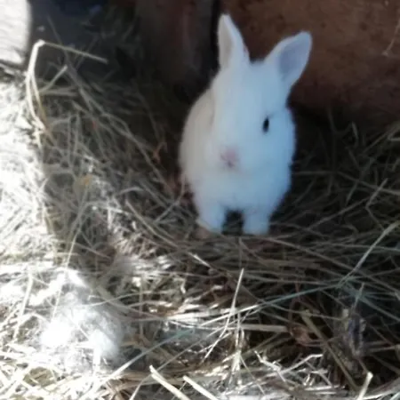 Séjour à la ferme Kamez *