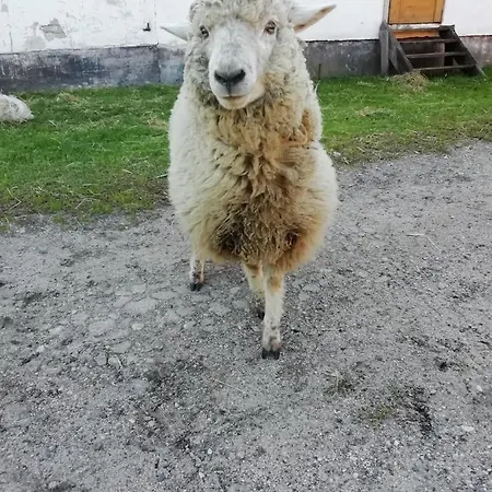 Séjour à la ferme Kamez Szczytno (Warmian-Masurian)