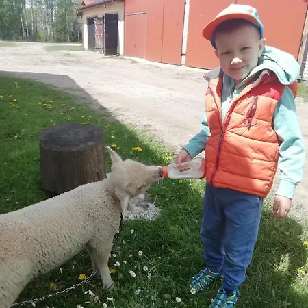 Séjour à la ferme Kamez Szczytno (Warmian-Masurian)