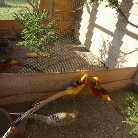 Vakantieboerderij Kamez *