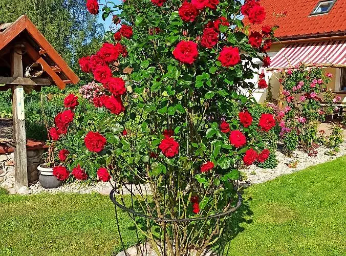 Kamez Farm stay Szczytno (Warmian-Masurian)