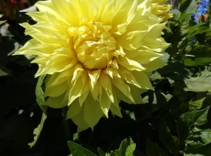 Kamez Agroturismo Szczytno (Warmian-Masurian)