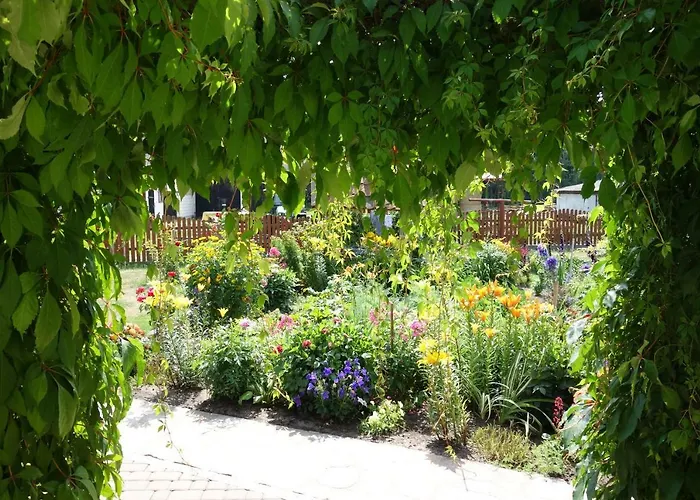 Kamez * Szczytno (Warmian-Masurian)