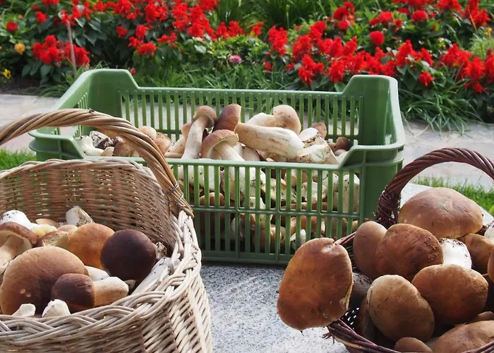 Kamez Farm stay Szczytno (Warmian-Masurian)